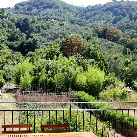 San Bartolomeo 's Garden